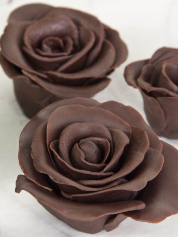 Rosas chocolate
